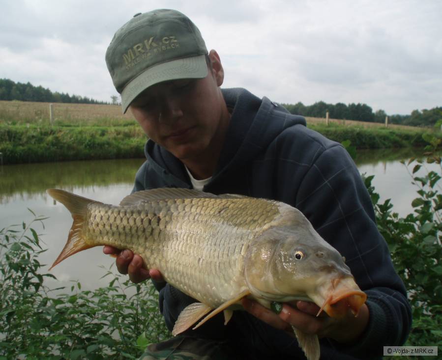 Kapřík