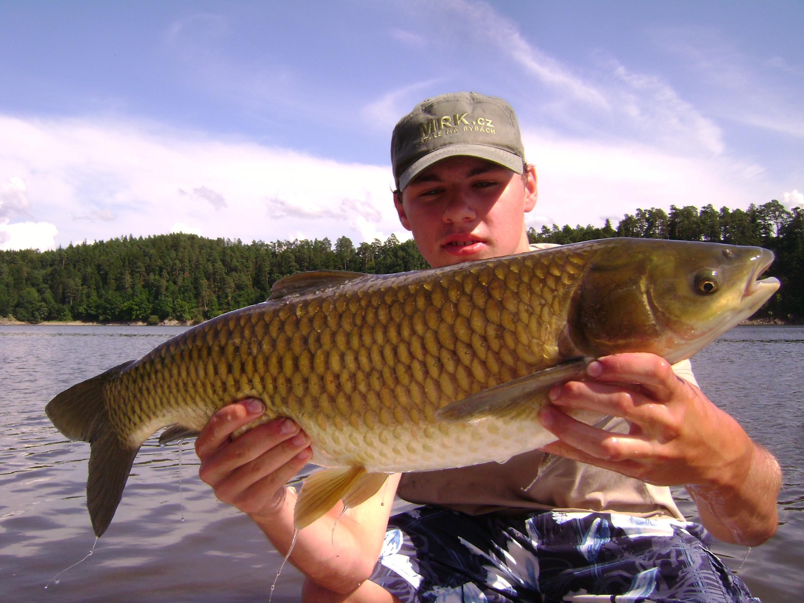 15.8.10 Amur 73cm(os.) ÚN Orlík.JPG