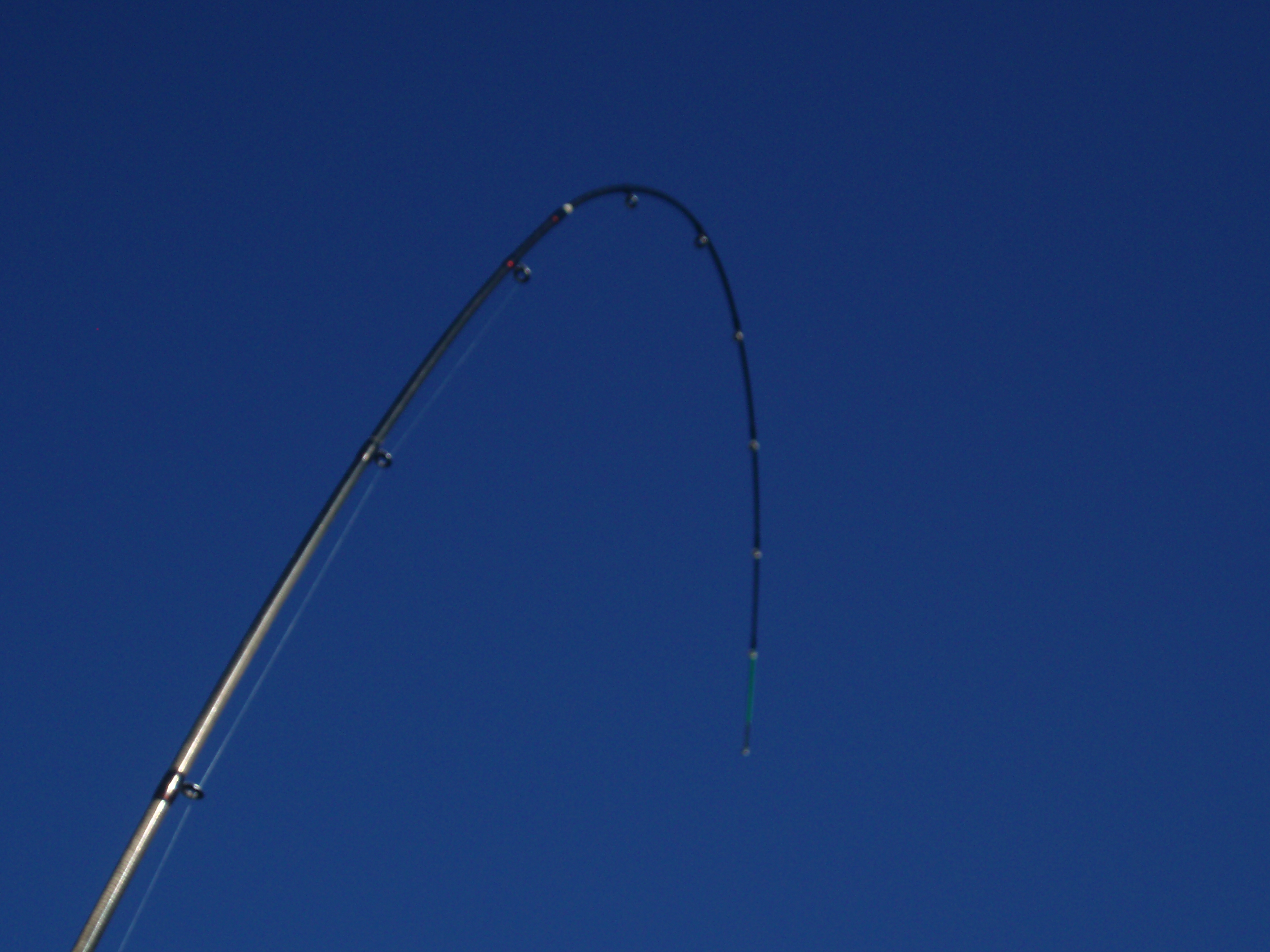 P8160484.JPG