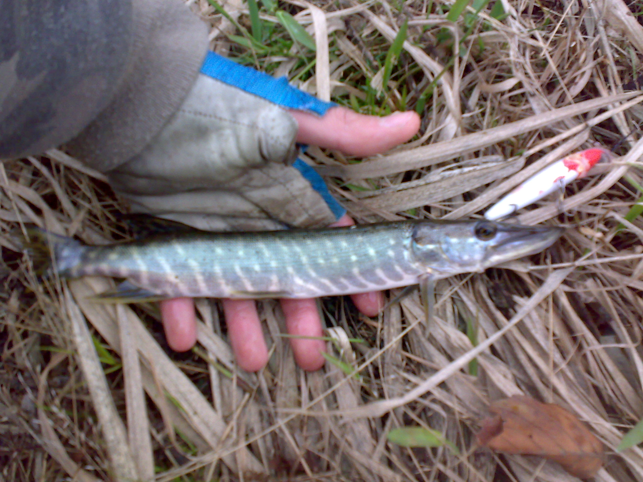 22102009717.jpg