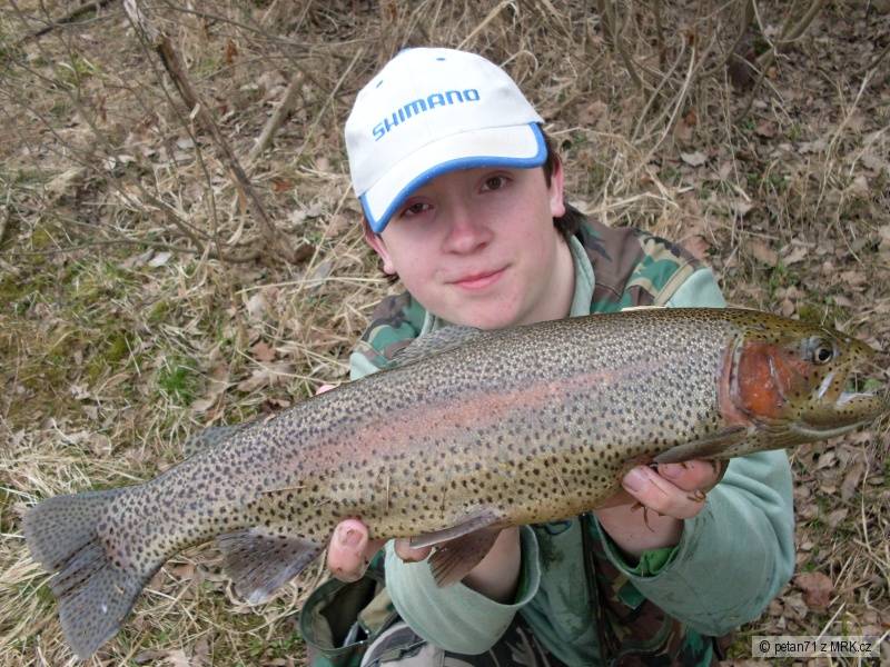 Pstruh Duhový 44cm