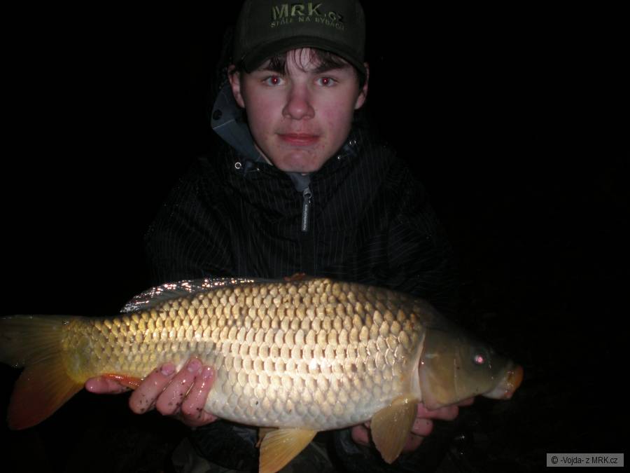 Kapr 54cm Vojda
